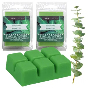 2 Pack Eucalyptus Scented Cube Wax Melts Candle Warmers Fragrance Aroma 2.46oz