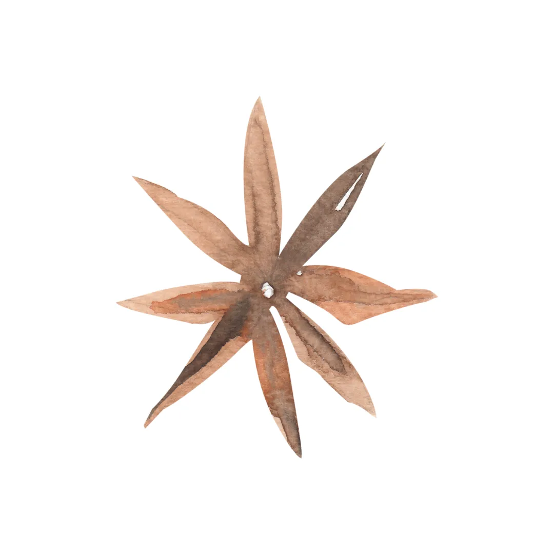 Anise | Single Note by Wicked Good Perfume