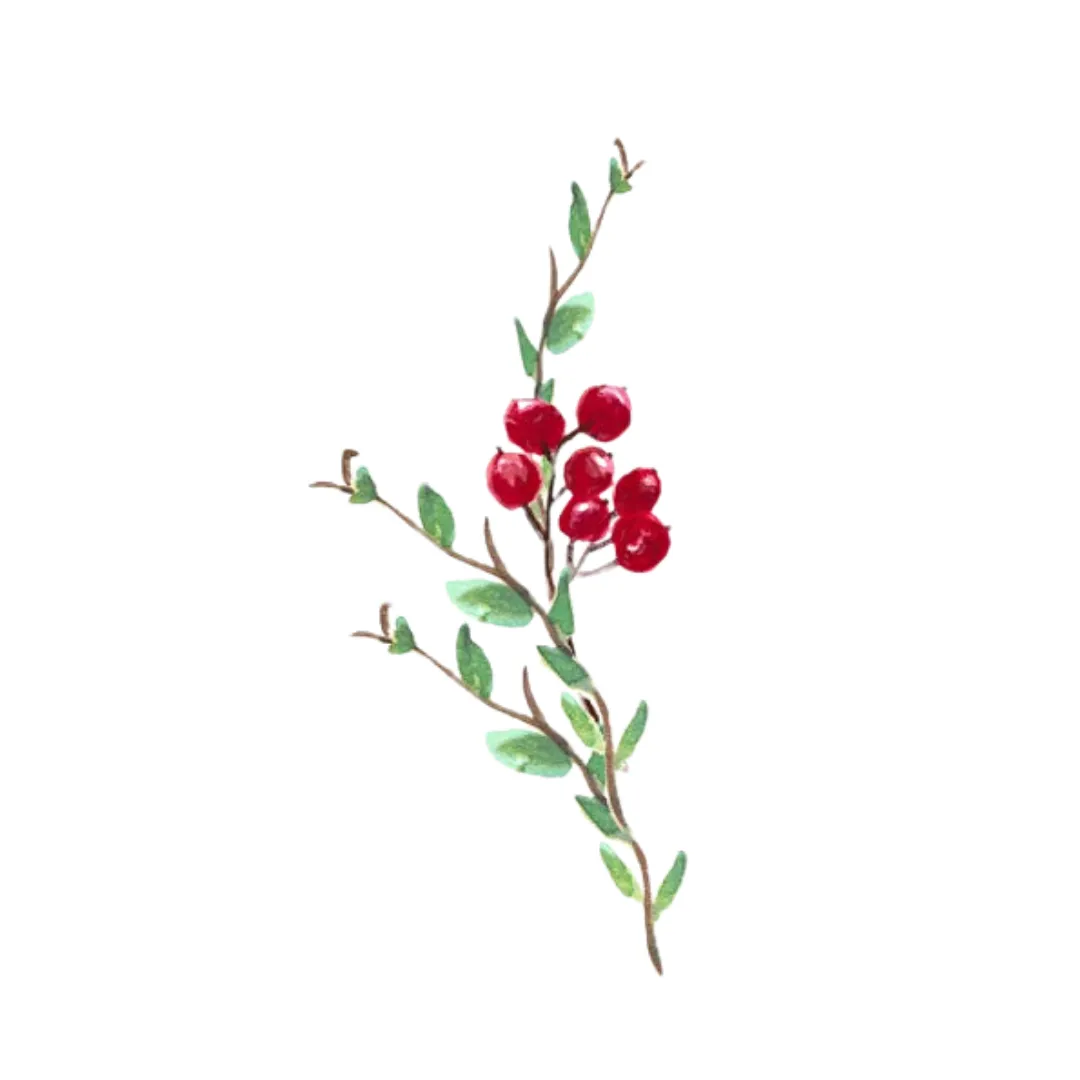 Bayberry | Single Note by Wicked Good Perfume