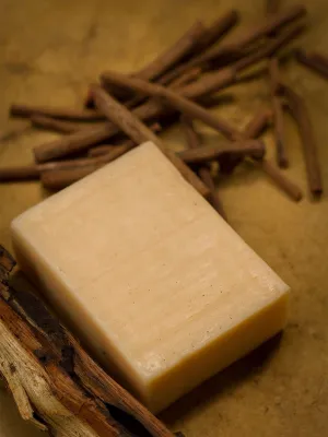 Daily Skin Detox Soap