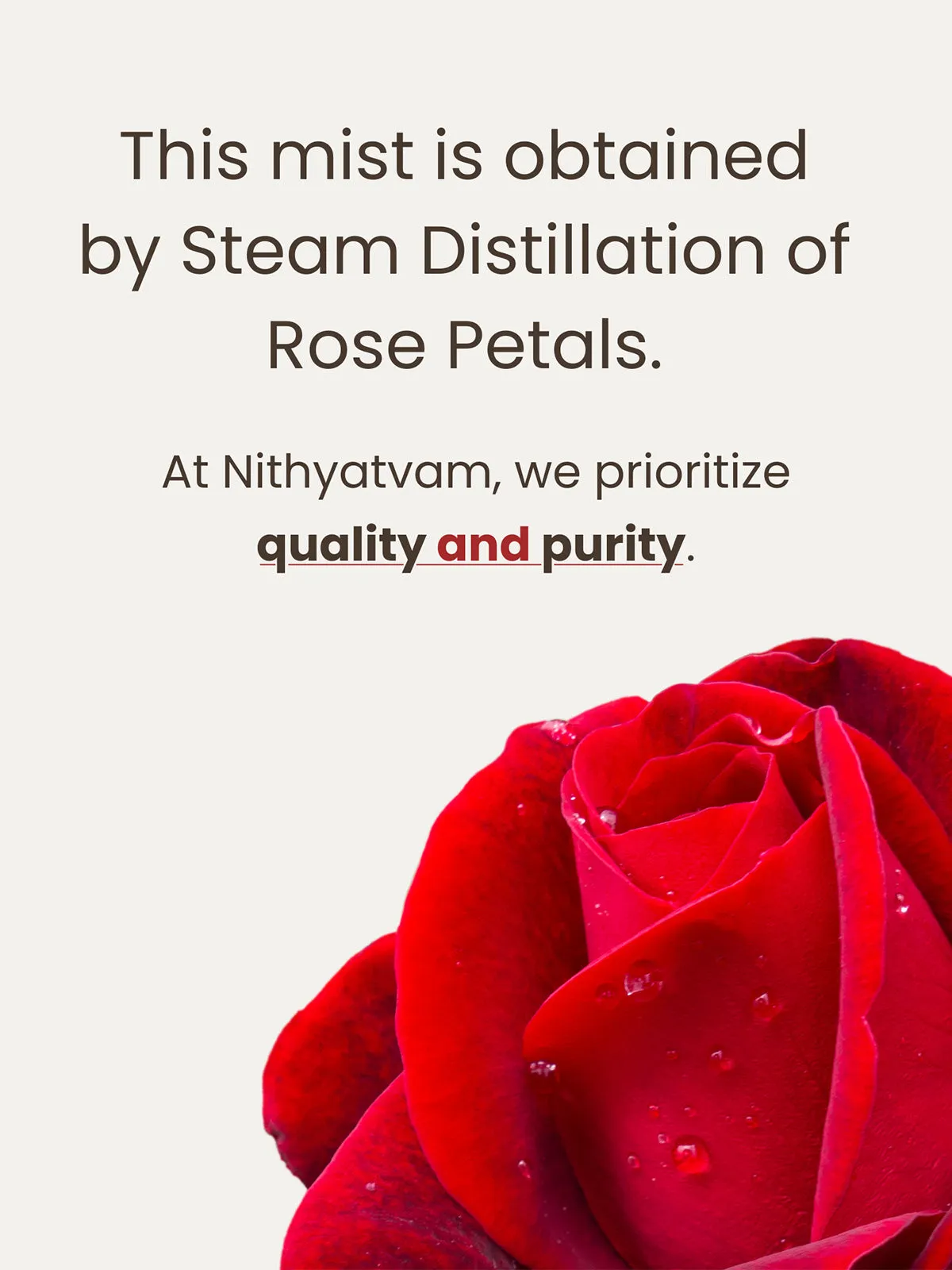 Pure Rose Water Face Mist Toner
